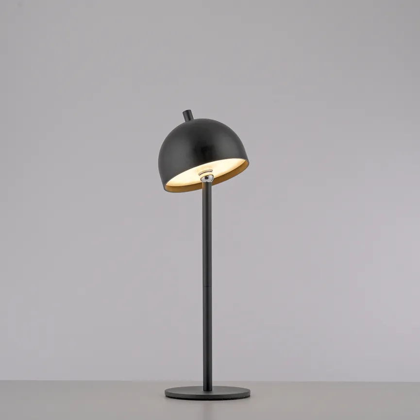 Akku-Stehleuchte "BELLIS" detail