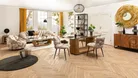 milieu