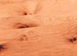 Buche Natur material_farbe