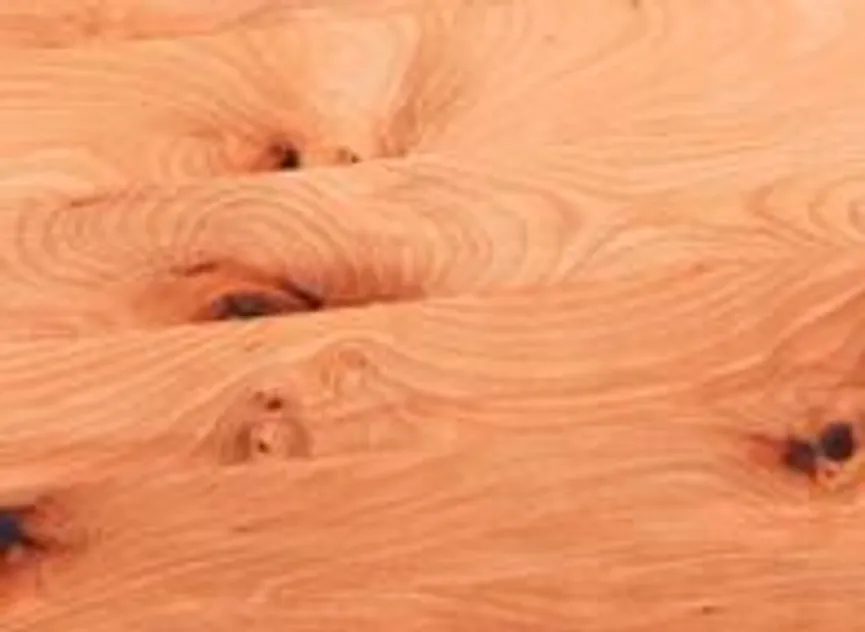 Highboard 167114+195294 material_farbe