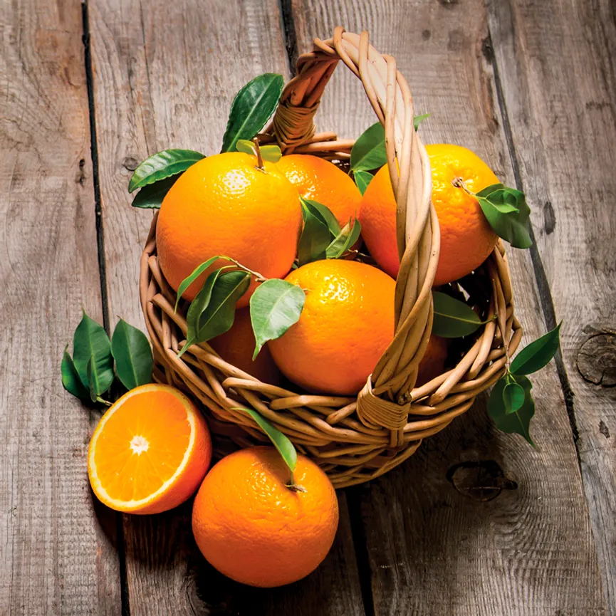 Küche - Fresh Oranges IV hauptaufnahme