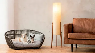 Hundesofa PRADO