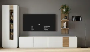 TV-Lowboard 