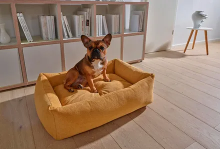Hundebetten image