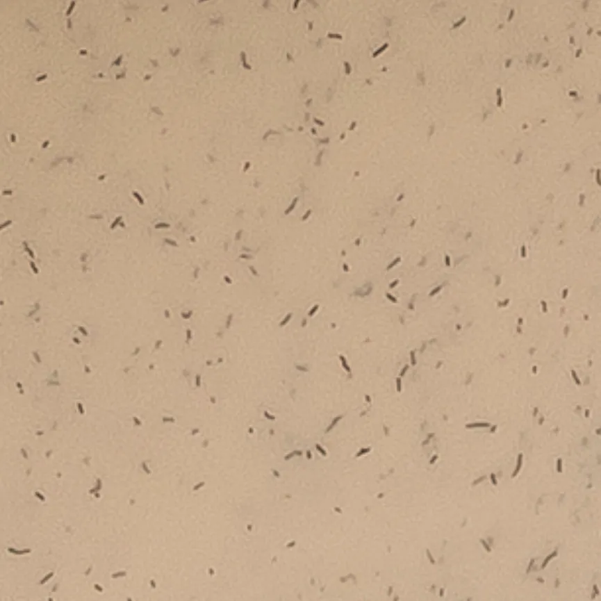 Besteck "Klikk Ready" 4-tlg. material_farbe