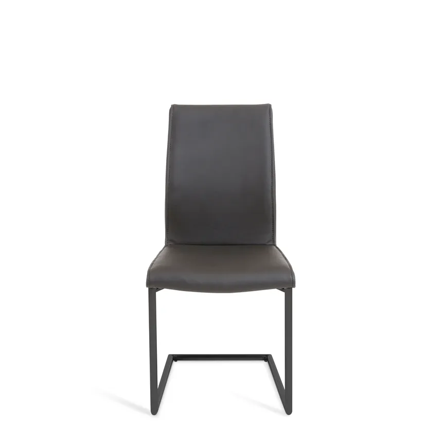 Schwinger 421 detail