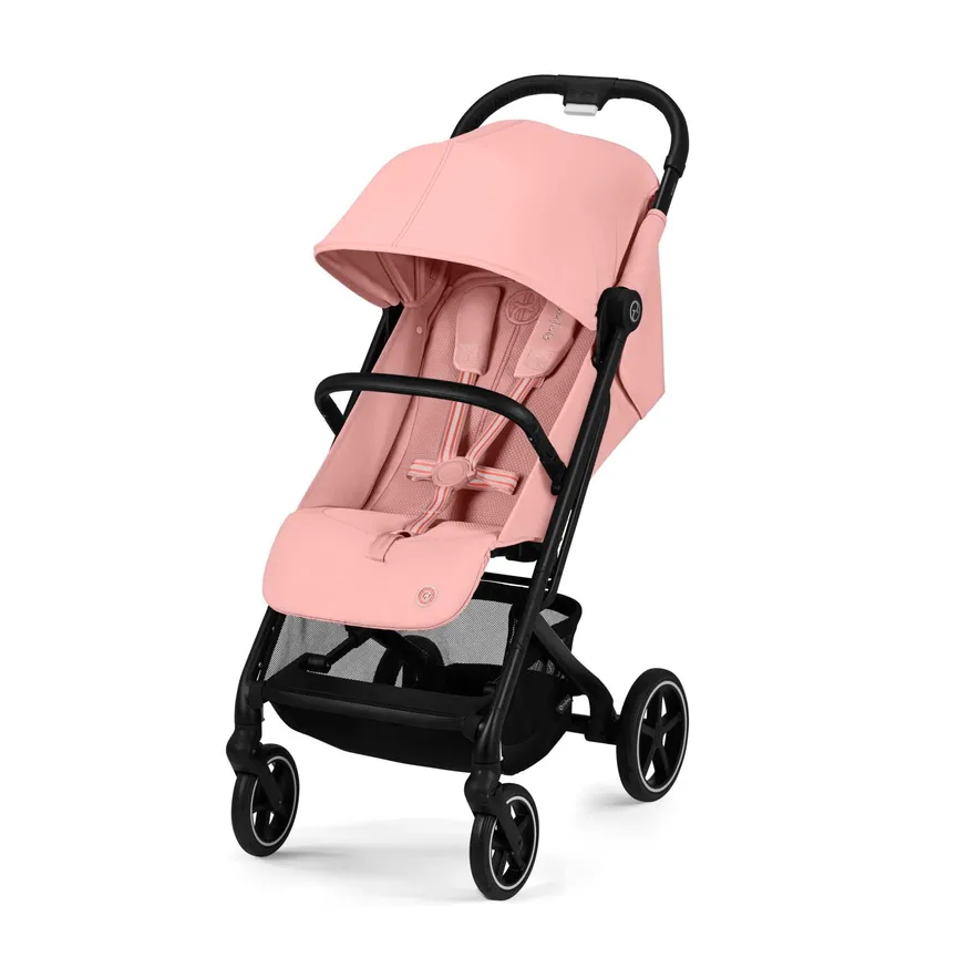 Buggy Beezy material_farbe