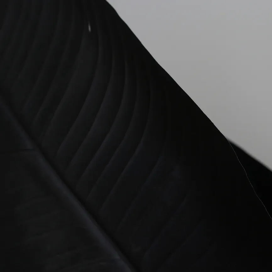 Strelitzie M schwarz detail