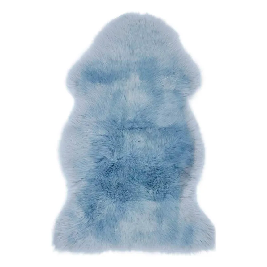 Schaf- hauptaufnahme