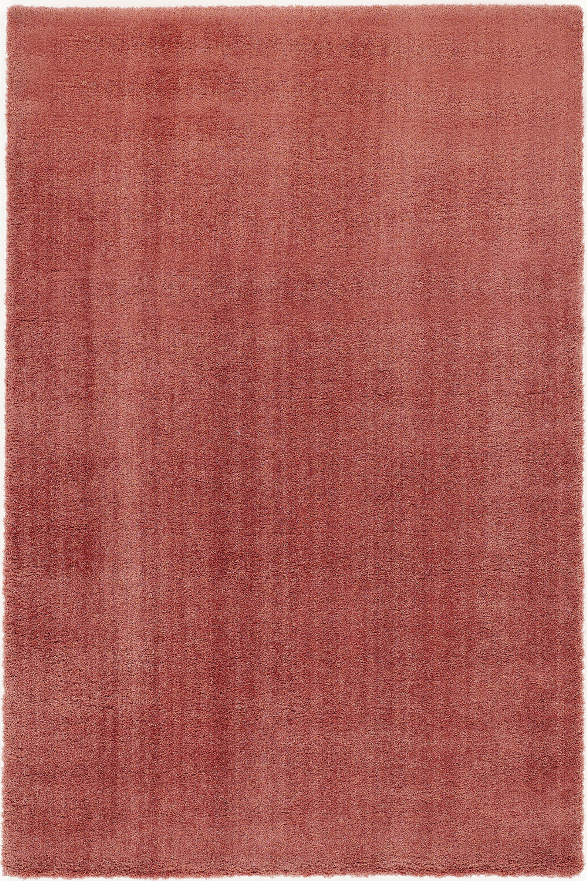 Premio hauptaufnahme