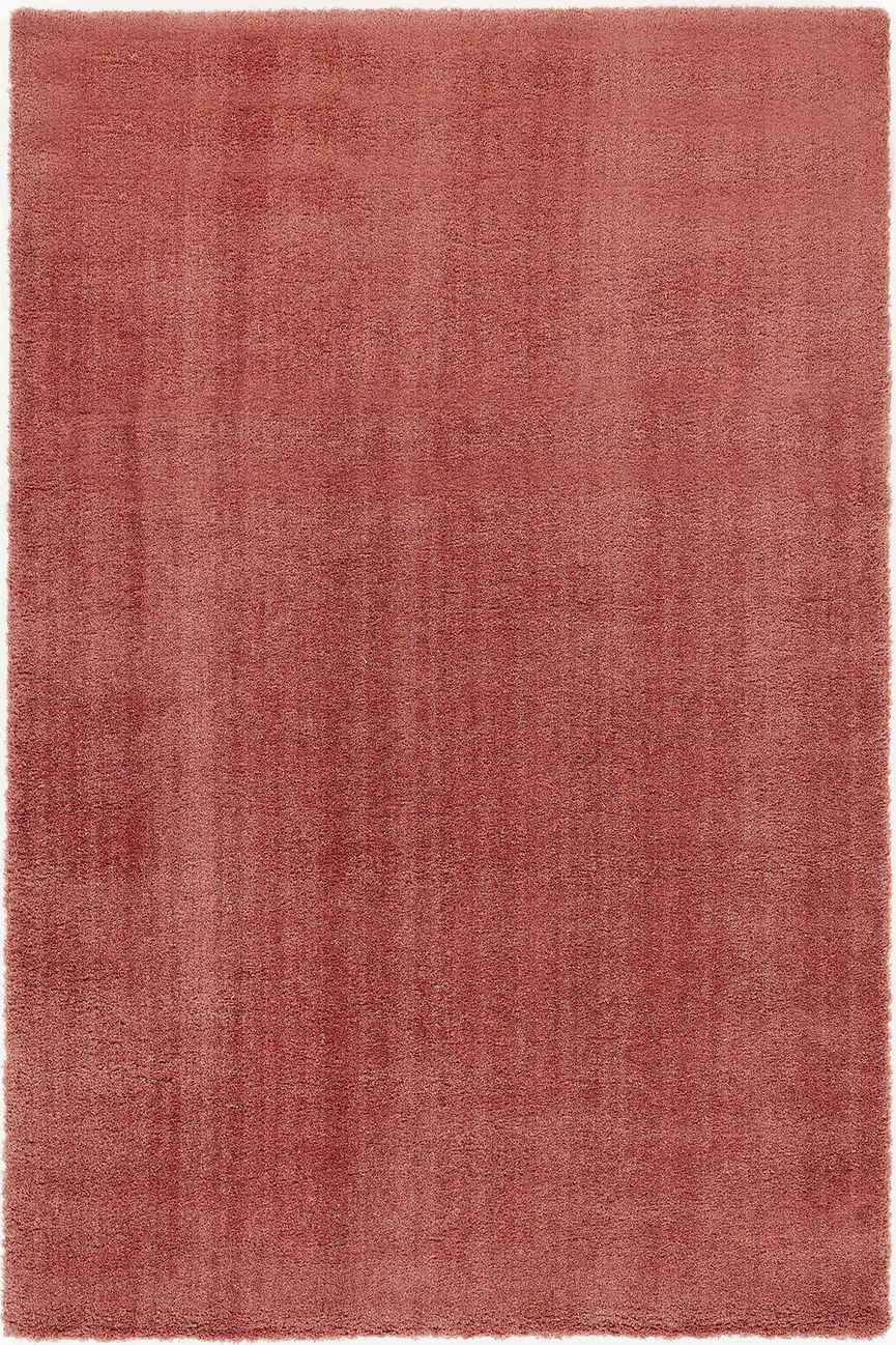 Premio hauptaufnahme