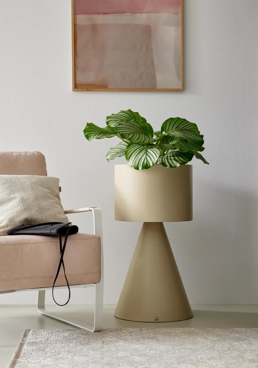 Pflanzenständer L detail