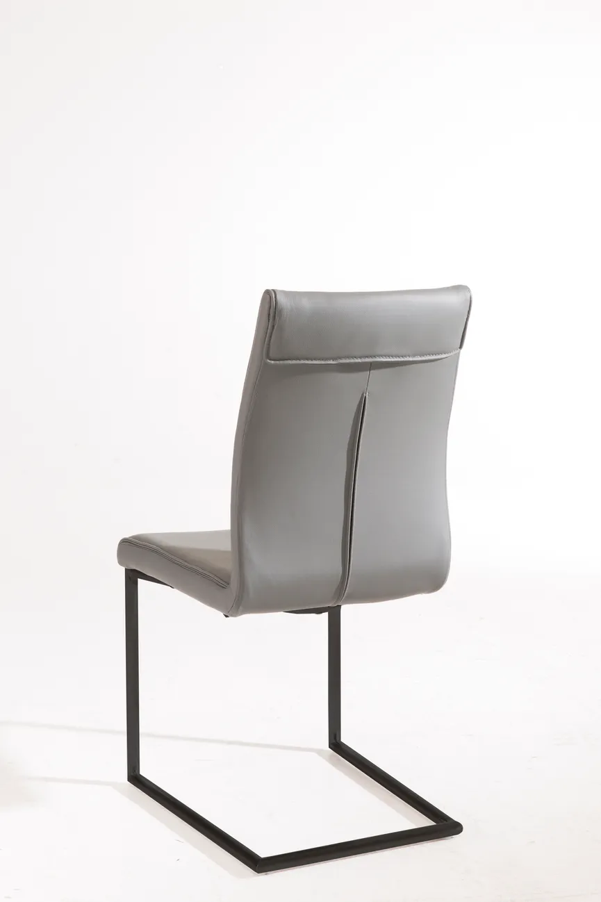 Schwinger 421 detail