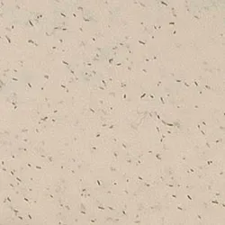 Beige material_farbe