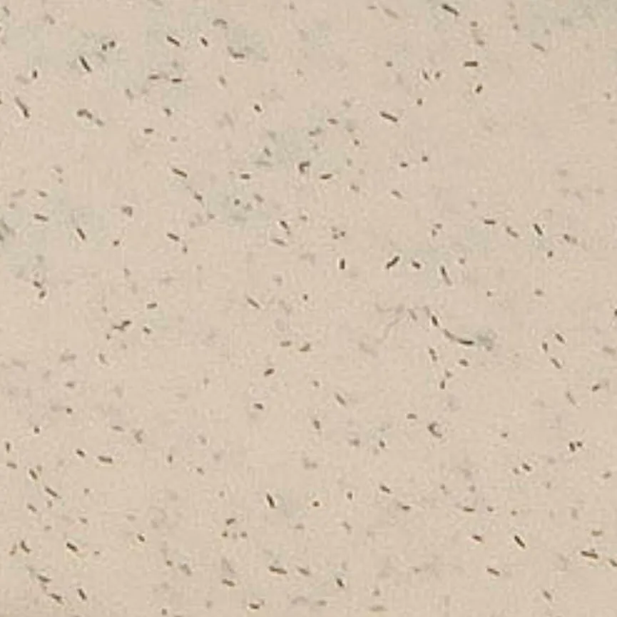 Lunchbox "Pascal Ready" 4-tlg. material_farbe