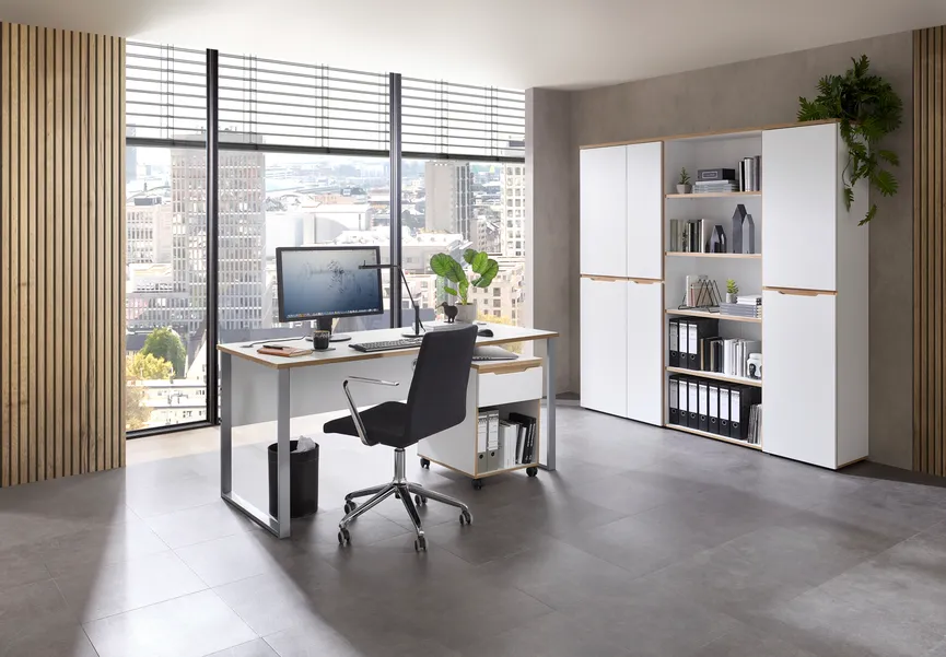 Büroschrank milieu
