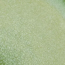 Hellgrün material_farbe