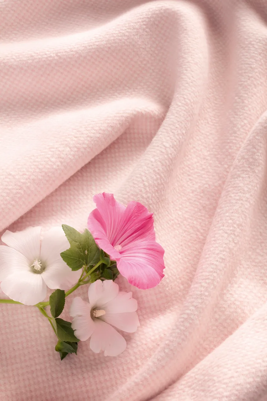 Decke Cotton Comfort Pearl milieu