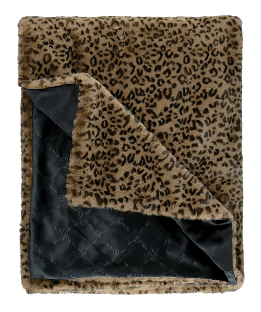 Plaid JOOP!Leonesse hauptaufnahme