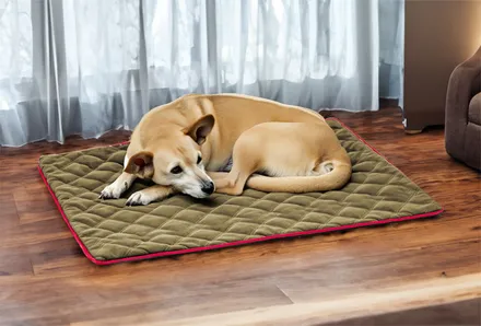 Hundedecken image
