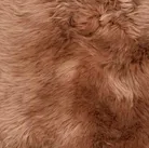 material_farbe