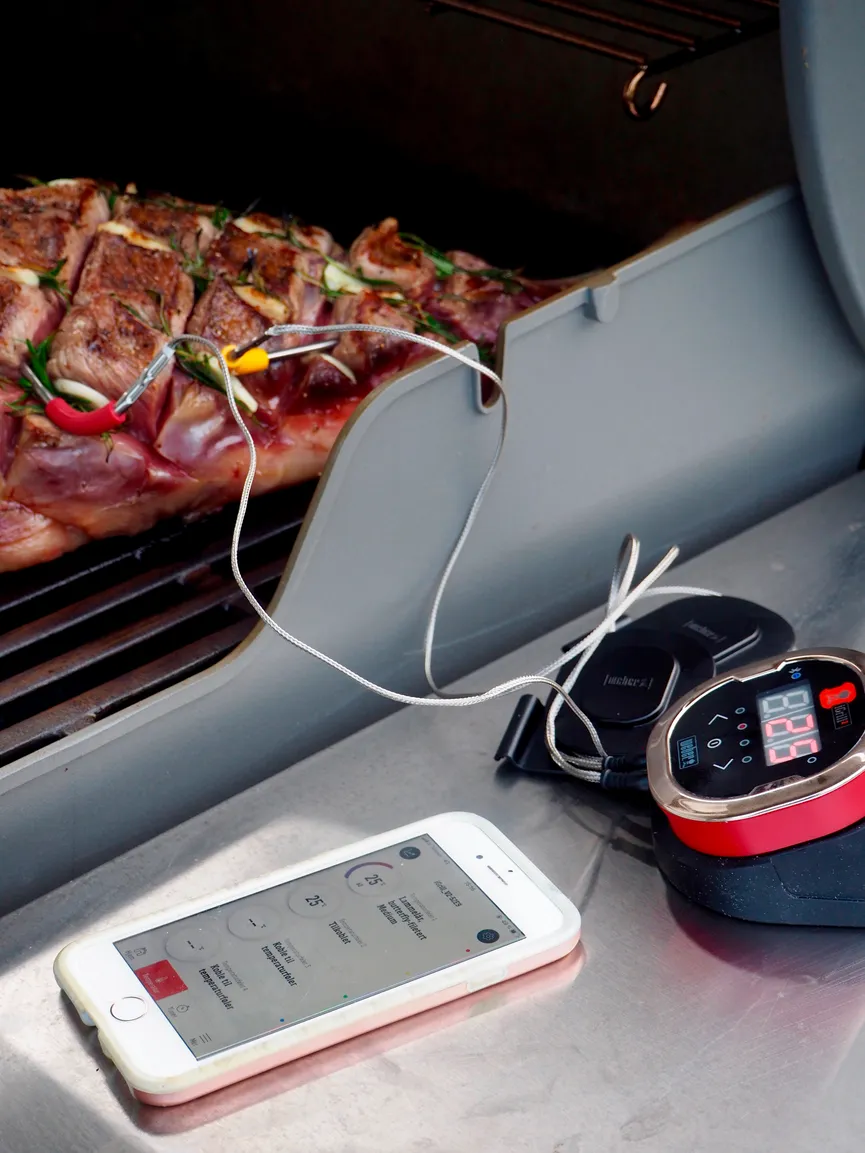 Weber iGrill Fühler milieu