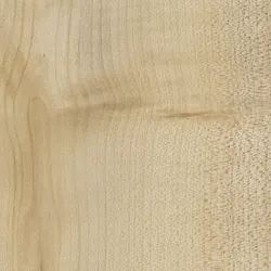 Birke material_farbe