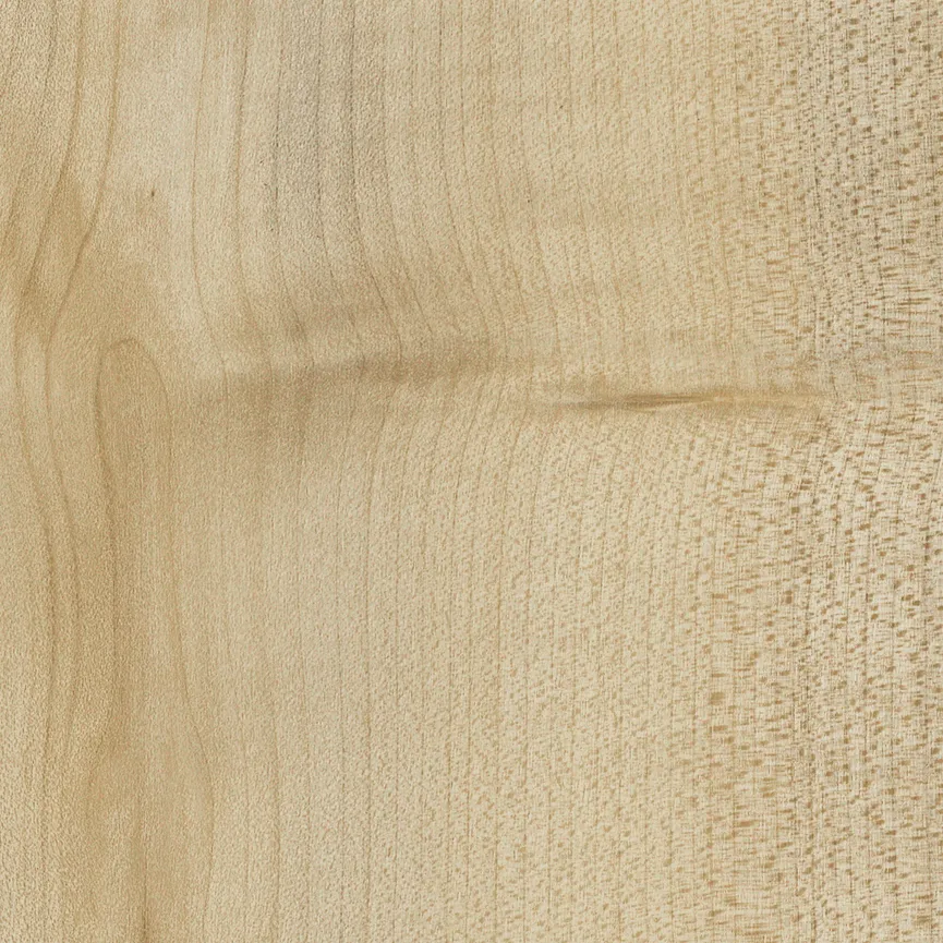 Regal material_farbe