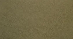 Olive material_farbe