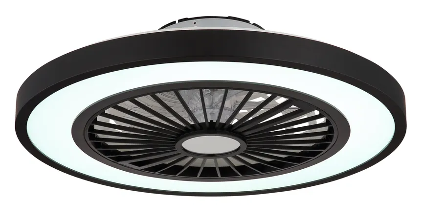 Deckenventilator "Blizzak" detail