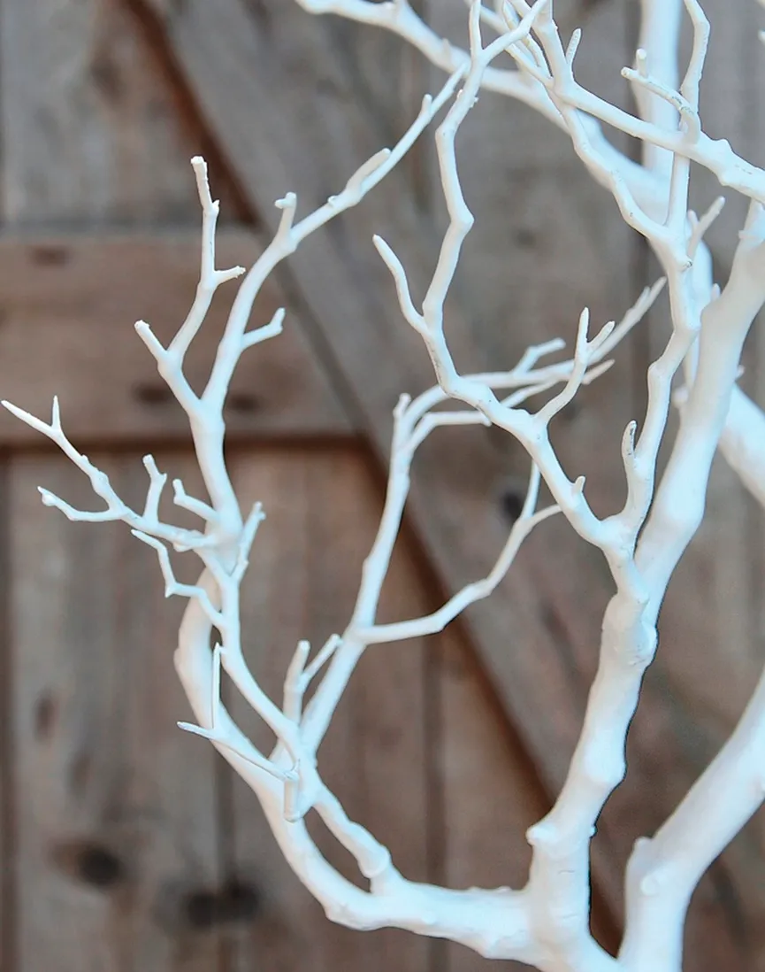 Ast M weiß detail