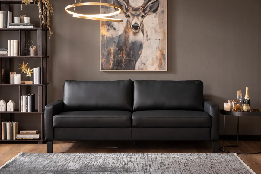Sofa 3-Sitzer 23002 detail