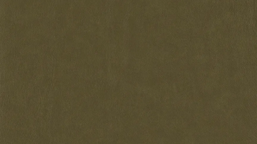 Poga material_farbe
