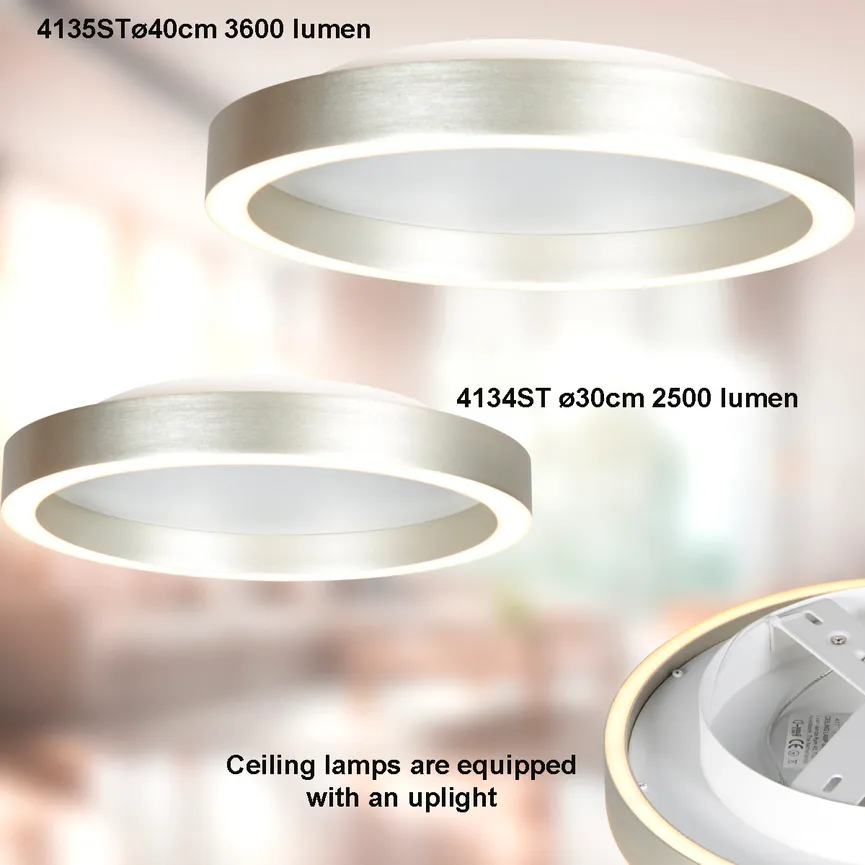 Deckenleuchte "Ringlux" detail