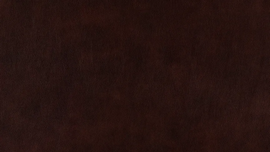 Sofa groß (N80) material_farbe
