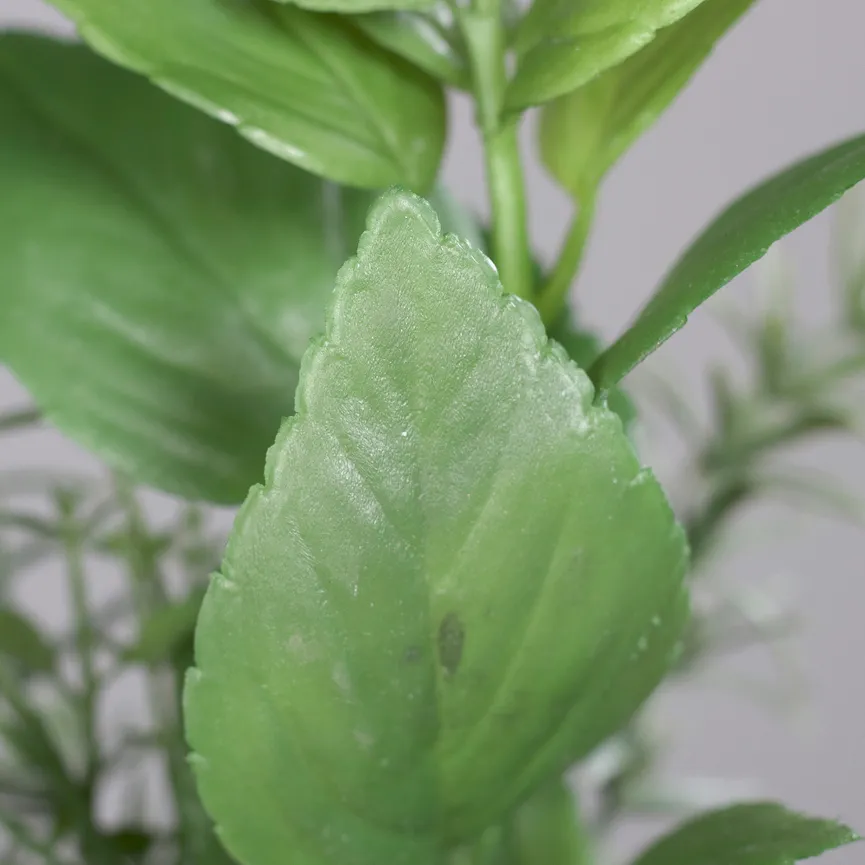 Kräuterbündel grün detail