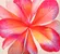 FARBE