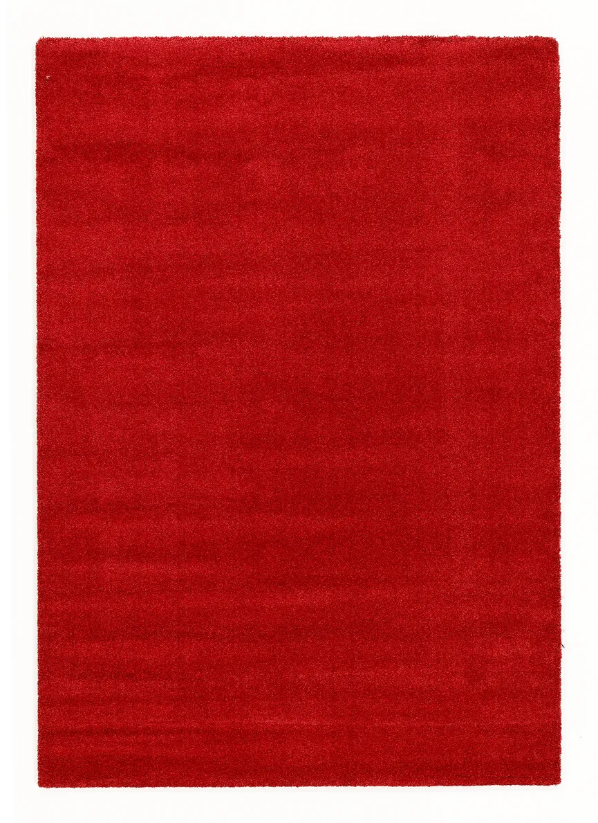 ***Webtepp.- hauptaufnahme