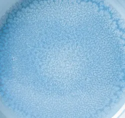 Blau material_farbe