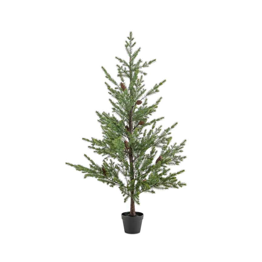 Tannenbaum M hauptaufnahme