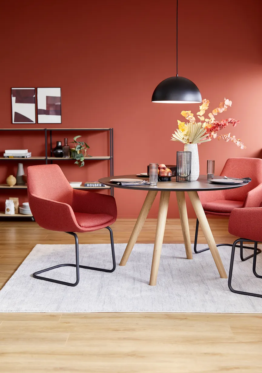 Freischwinger S272-18VY milieu