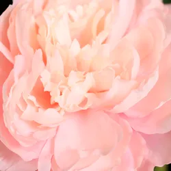 Rosa material_farbe