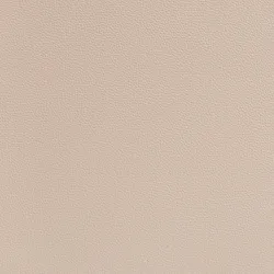 Beige material_farbe
