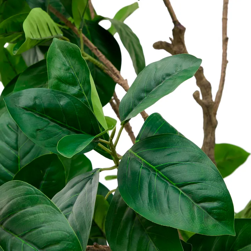 Kunstbaum Fikus detail