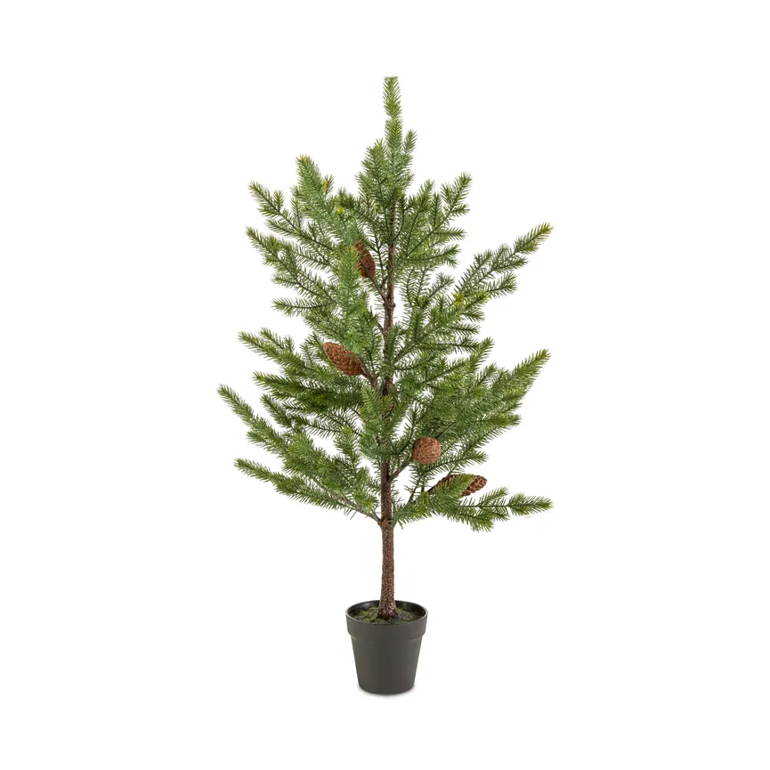 Tannenbaum S hauptaufnahme