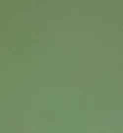 Grün material_farbe