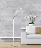 milieu