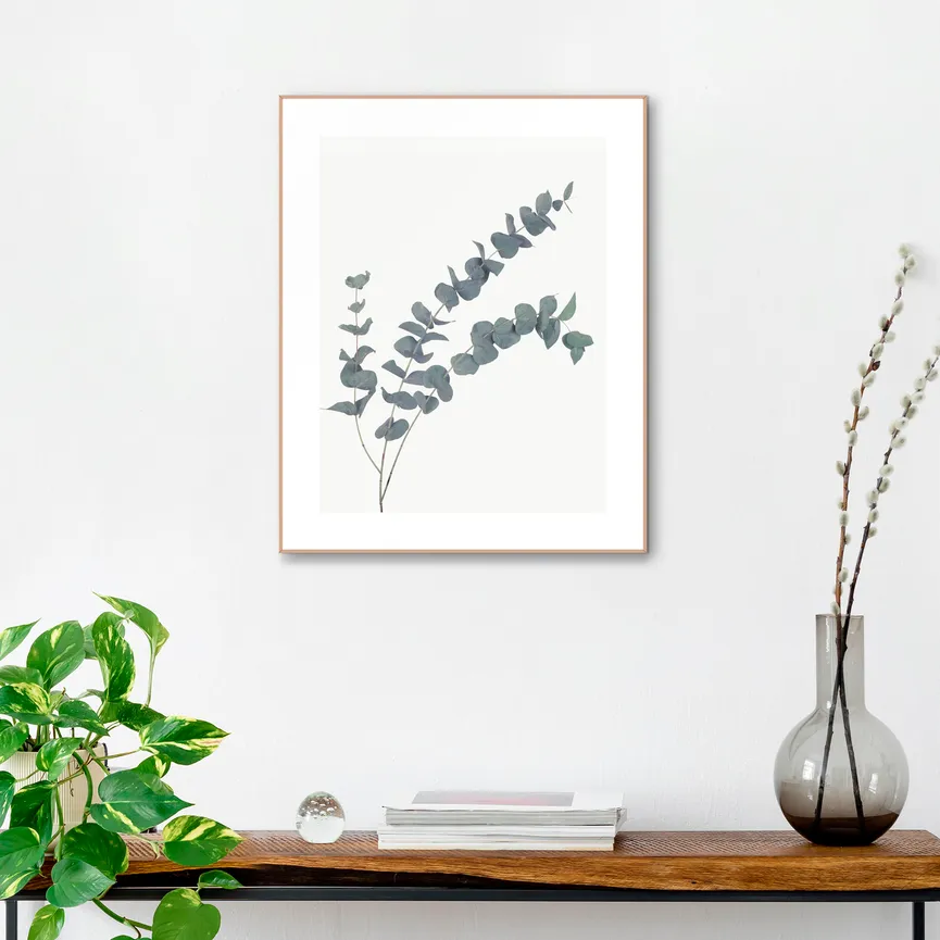 Bild gerahmt "Eucalyptus" milieu
