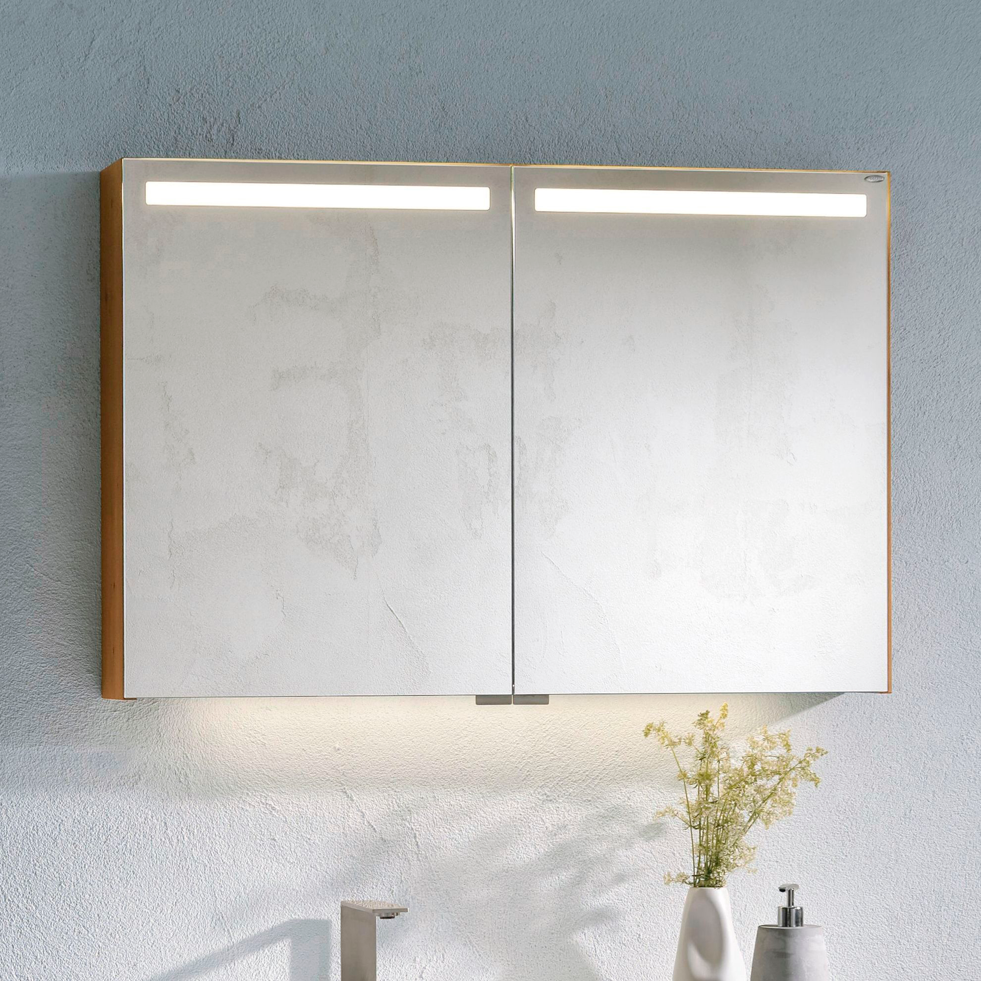 Spiegelschrank 