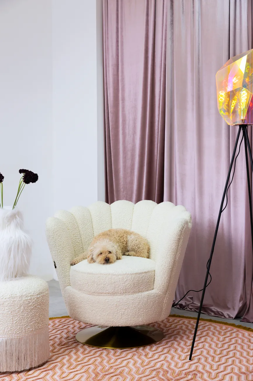 Lounge Sessel milieu